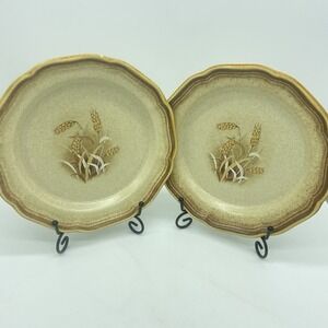MIKASA Whole Wheat Granola 8" Salad/Dessert Plates (SET OF 2) USED "EUC"